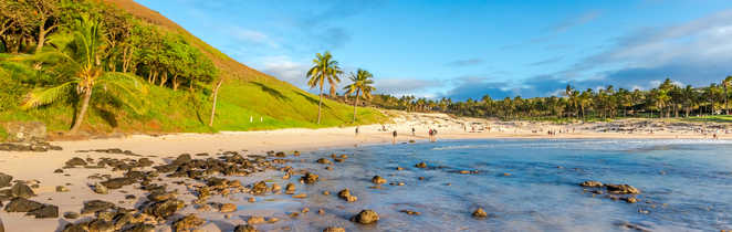 plage Anakena avec des palmiers sur l'ile de Paques
