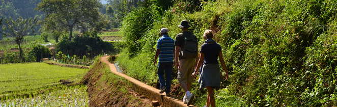 randonnée-dans-les-rizières-Sri-Lanka