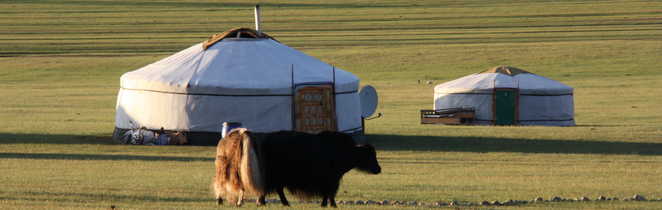 Mongolie yak yourte