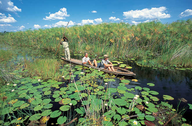 Balade en mokoro dans le delta de l'Okavango au Botswana