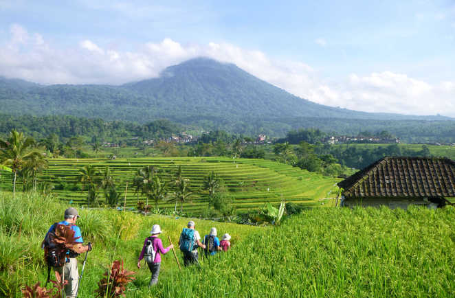 Balade sur la riziere de Jatiluwih