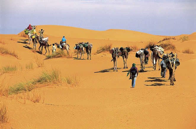 Caravane désert, Mauritanie