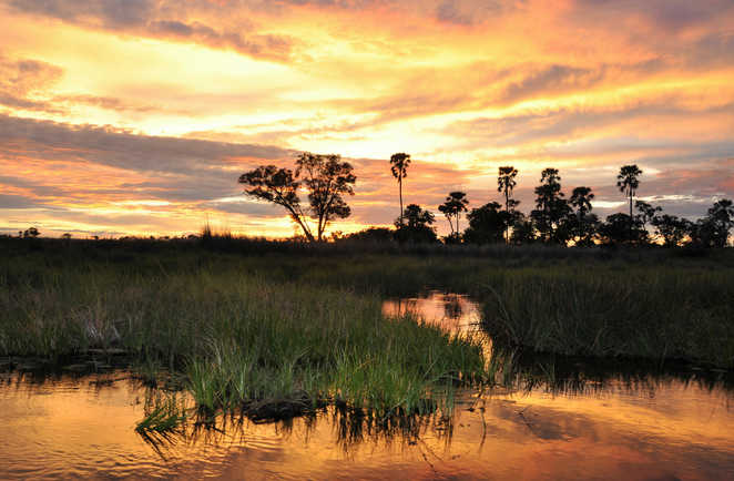 Coucher de soleil  dans le delta de l'Okavango, Botswana