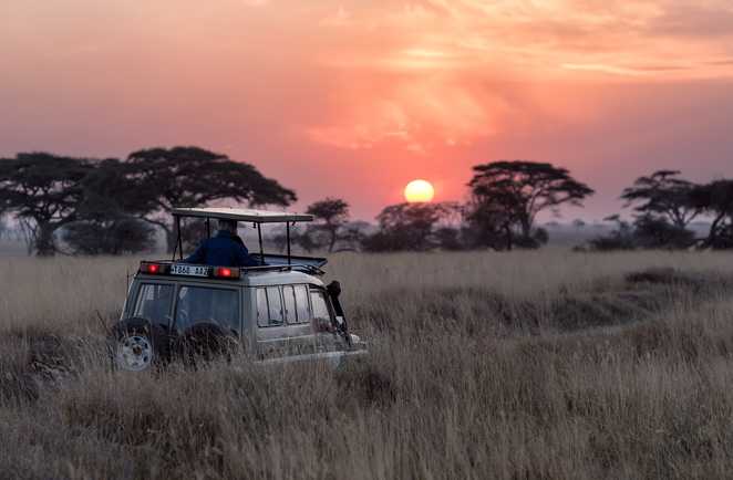 Coucher de soleil lors d'un safari Tanzanie