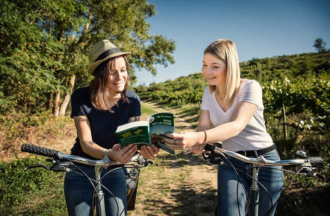 Cyclistes consultant un guide dans les vignobles