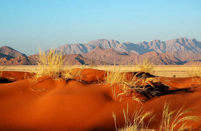 Dune rouge dans le désert du Namib