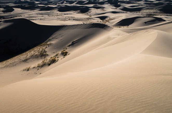 Dunes désert de Gobi en Mongolie