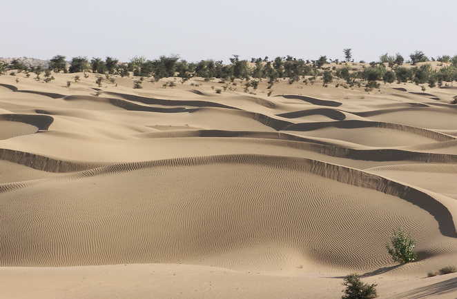 Dunes du désert du Thar, Rajasthan