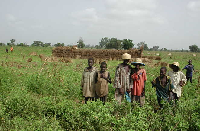 Enfants dans les champs dans le Sine Saloum au Sénégal