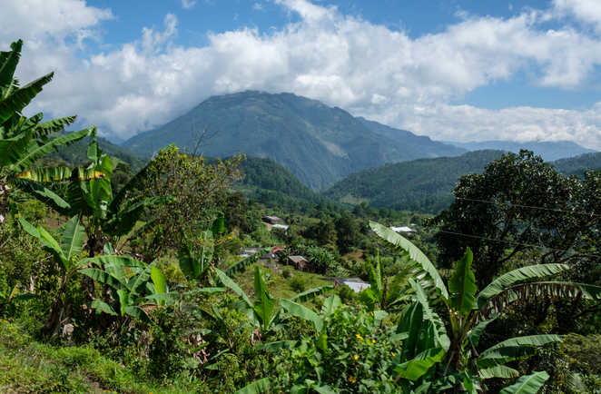 Forêt humide El Quiche Sierra de los Cuchumatanes Guatemala