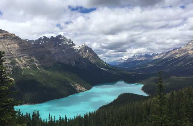 Lac Peyto sur la route des glaciers, Canada