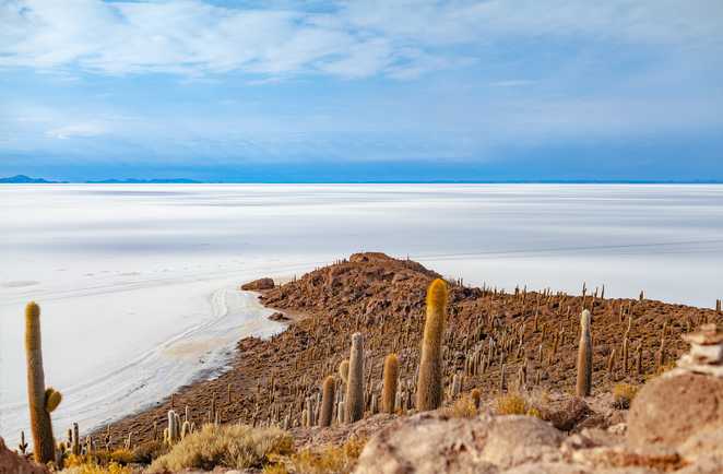 Le salar d'Uyuni depuis l'île Incahuasi