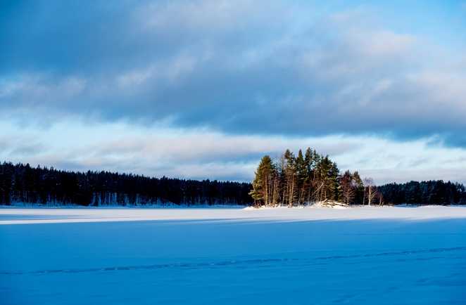 Lumière d'hiver en Laponie