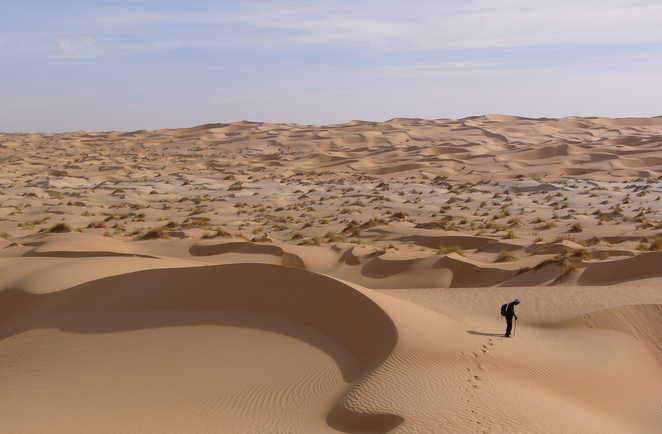 Mer de dunes, Erg Ouarane, Mauritanie