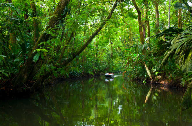 Navigation dans le parc de Tortuguero au Costa Rica