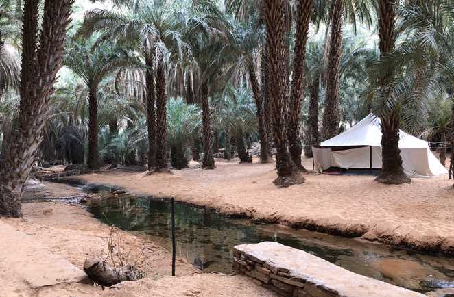 Oasis de Terjit, Mauritanie