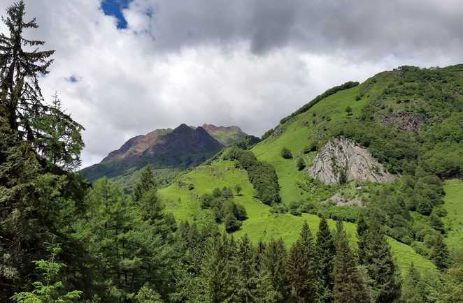 Paysage bucolique de la Vallée d'Aspe, Pyrénées