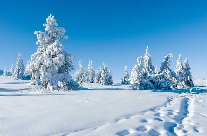Paysage hivernal de Vitosha en Bulgarie
