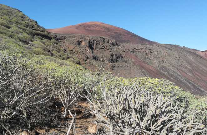 Paysage volcanique du coeur d'El Hierro lors d'un trek itinérant
