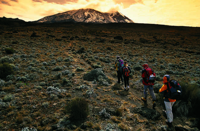 Petit groupe de randonneurs durant la marche d'approche vers les sommets du Kilimandjaro en Tanzanie
