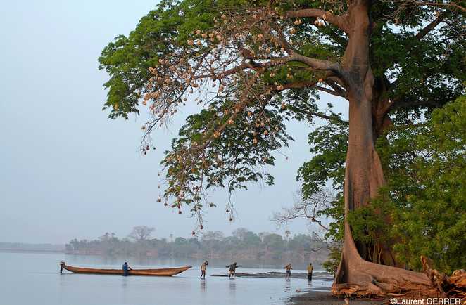 Pirogue sur un fleuve en Casamance au Sénégal