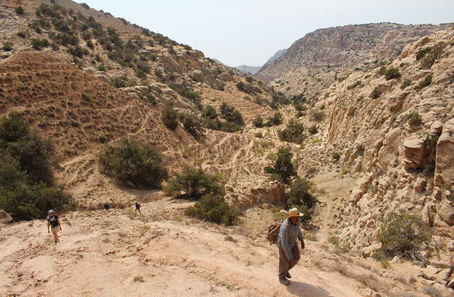 Randonnée dans la réserve de Dana en Jordanie