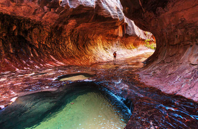 Randonneur dans le Canyon du parc National de Zion , en Utah, aux USA