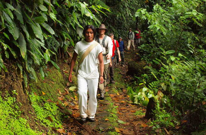 Randonneurs dans la forêt endémique colombienne