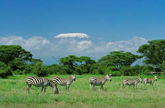 Safari au Kenya avec vue sur le Kilimandjaro