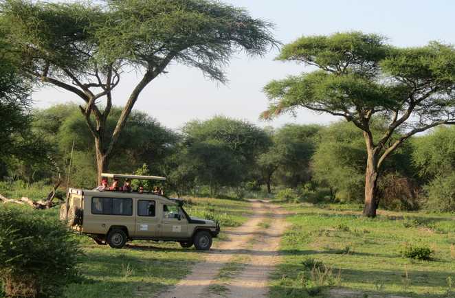 Safari dans la Parc du Tarangire Tanzanie