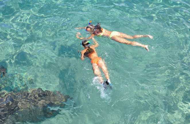 Snorkeling dans les eaux turquoises de la réserve Cousteau
