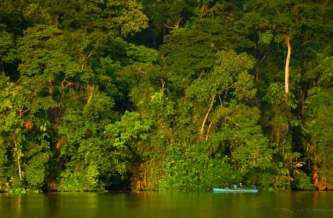 Sur les canaux de Tortuguero