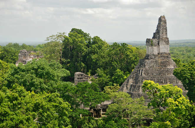 Temple du site maya de Tikal au Guatemala