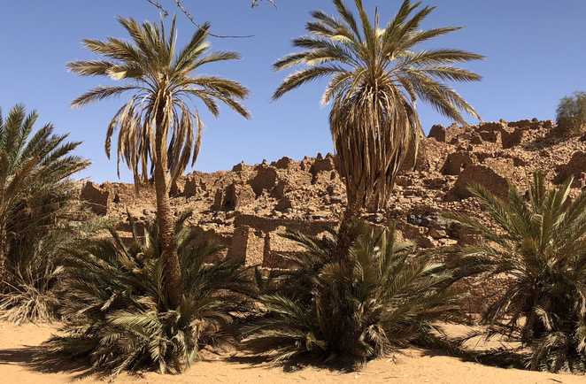 Ville caravanière de Ouadane en Mauritanie