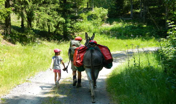 Voyage à pied : Sur la piste des Volcans d\'Auvergne avec des ânes