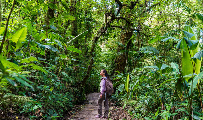 Trek - Randonnées tropicales du Guanacaste au Parc Corcovado