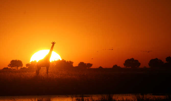 Trek - Pur safari au Botswana en version confort