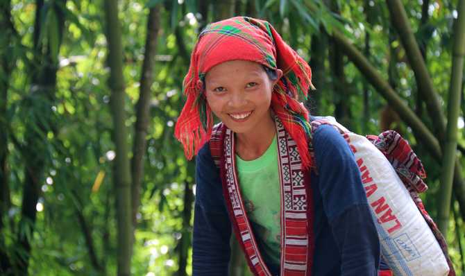 Voyage à pied : Vietnam : Sur les chemins du Tonkin