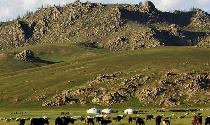 Voyage à pied : Trek du Terelj-Khentii et Gobi par le transmongolien