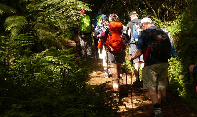 Voyage à pied : Kilimandjaro : voie Lemosho