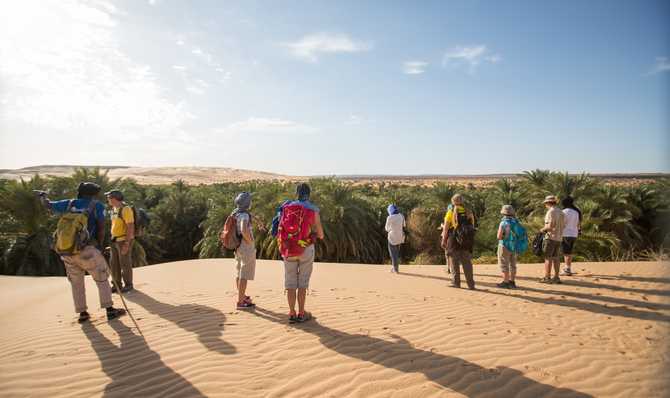 Voyage à pied : Trek dans les oasis luxuriantes de l\'Adrar