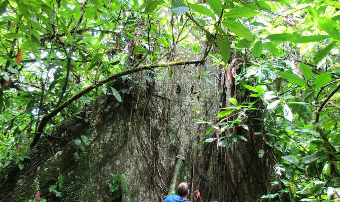 Voyage à pied : Costa Rica : Randonnées tropicales du Guanacaste aux Caraibes