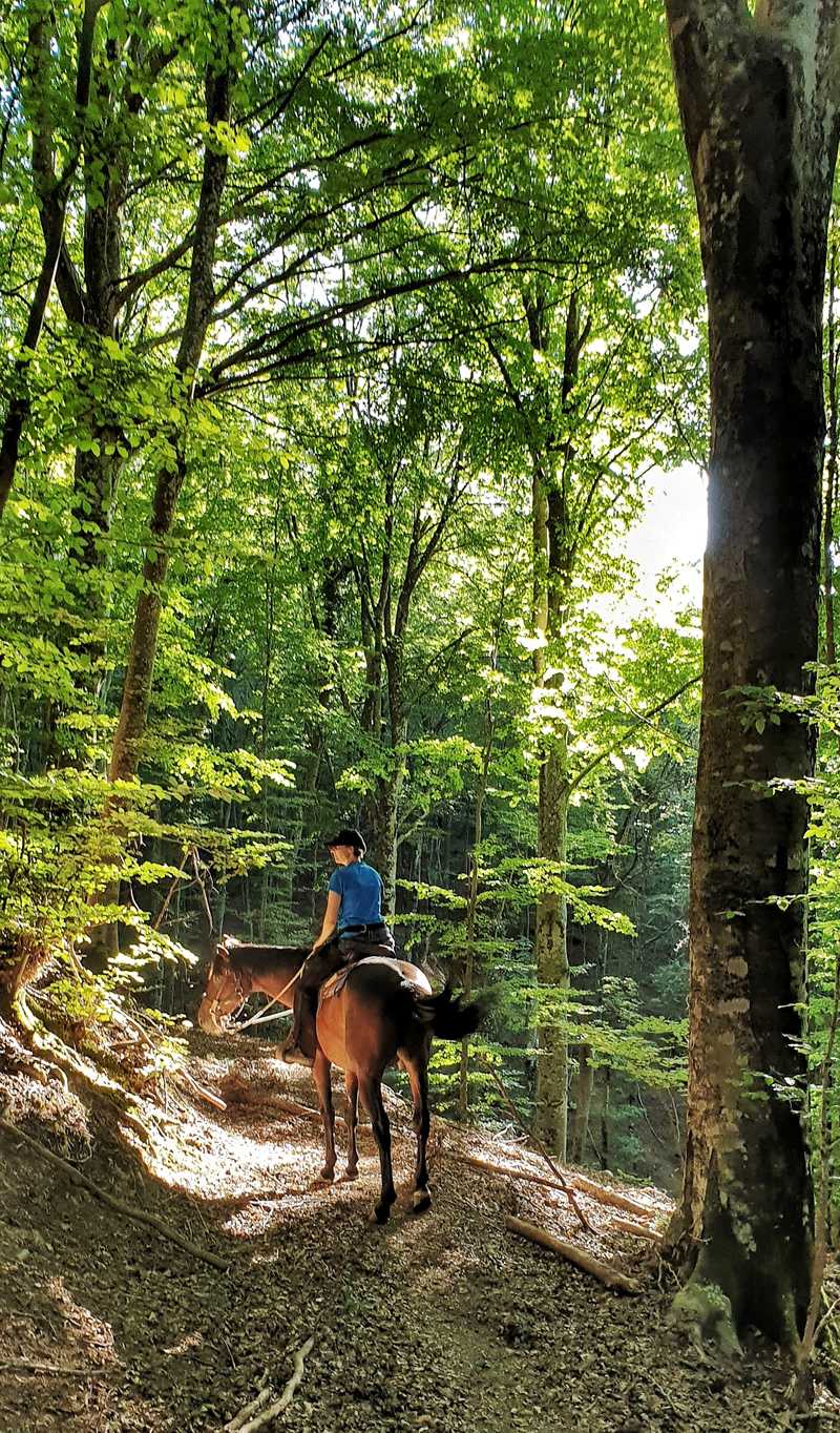 A cheval dans la forêt de Toscane © Caval&go