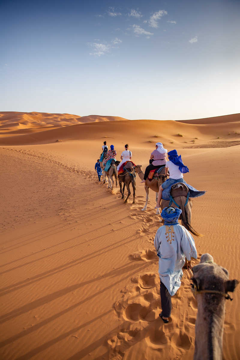 Ballade à dos de dromadaires au Maroc © Intrepid Travel