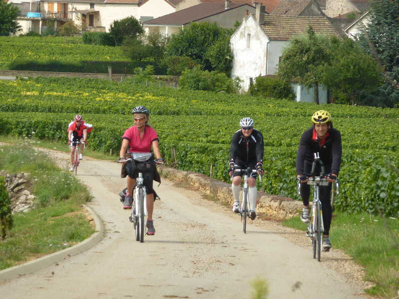 Cyclistes dans les vignes Bourgogne sud © France A Velo