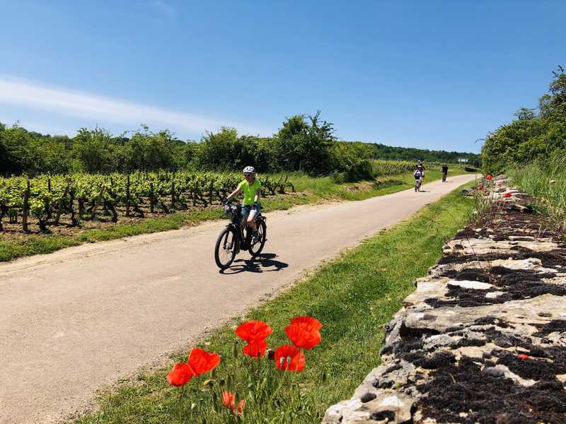 Cyclistes vigne Bourgogne Sud © France A Velo