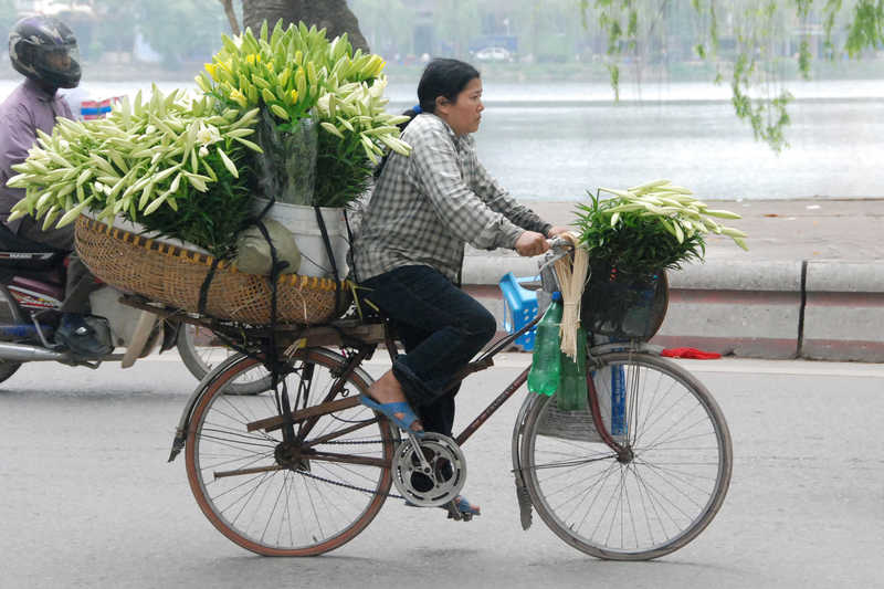 Femme faisant du vélo dans les rues d’Hanoï au Vietnam © Coston Jean-Pierre