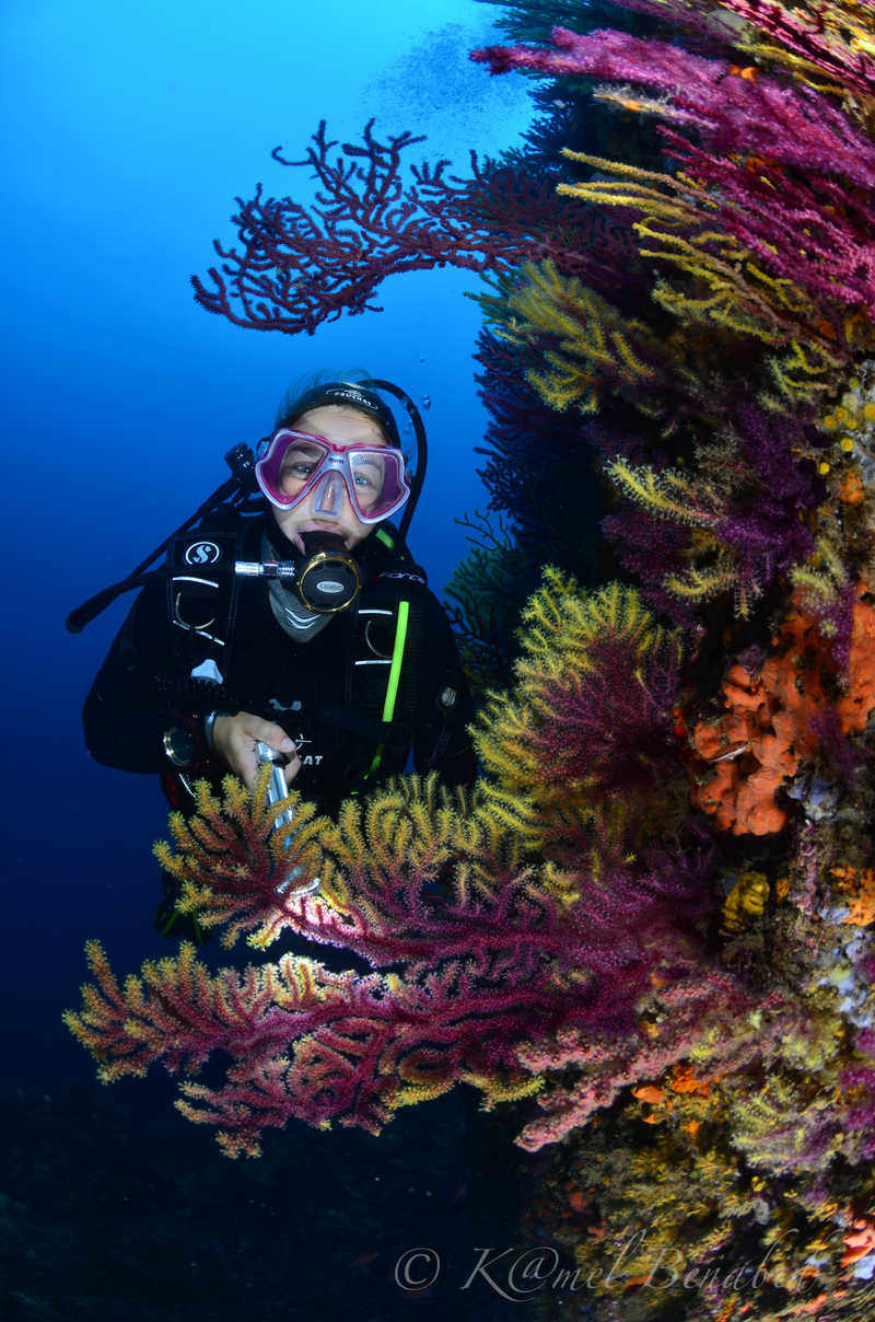 La plongée au milieu des gorgones de Méditerranée donne le sourire © Benabid Kamel