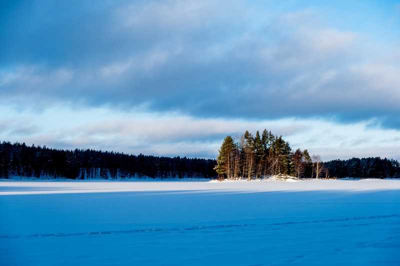Lumière d'hiver en Laponie © Wallendorff Laurent