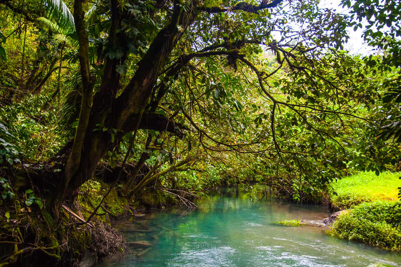 Parc National du volcan Tenorio Costa Rica